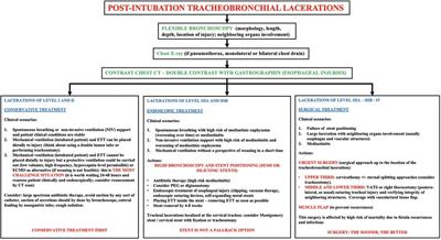 Post-intubation iatrogenic tracheobronchial injuries: The state of art